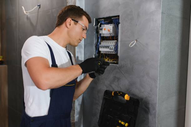 Best Electric Panel Repair  in Maplewood, MN